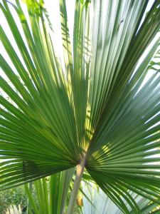 IMG_1517.JPG